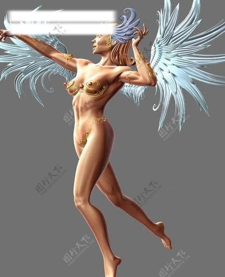 翅膀女人模型图片