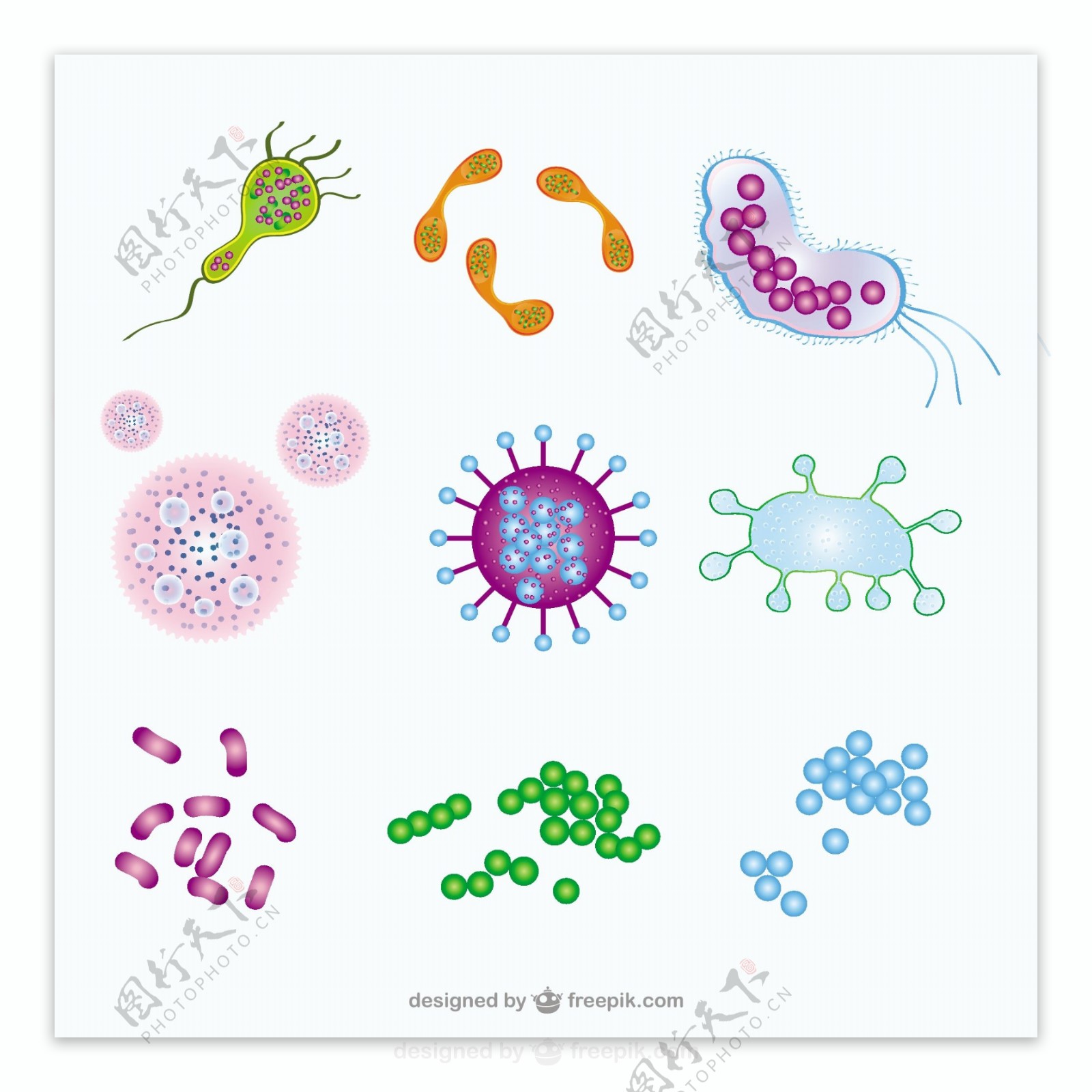 微生物的插图