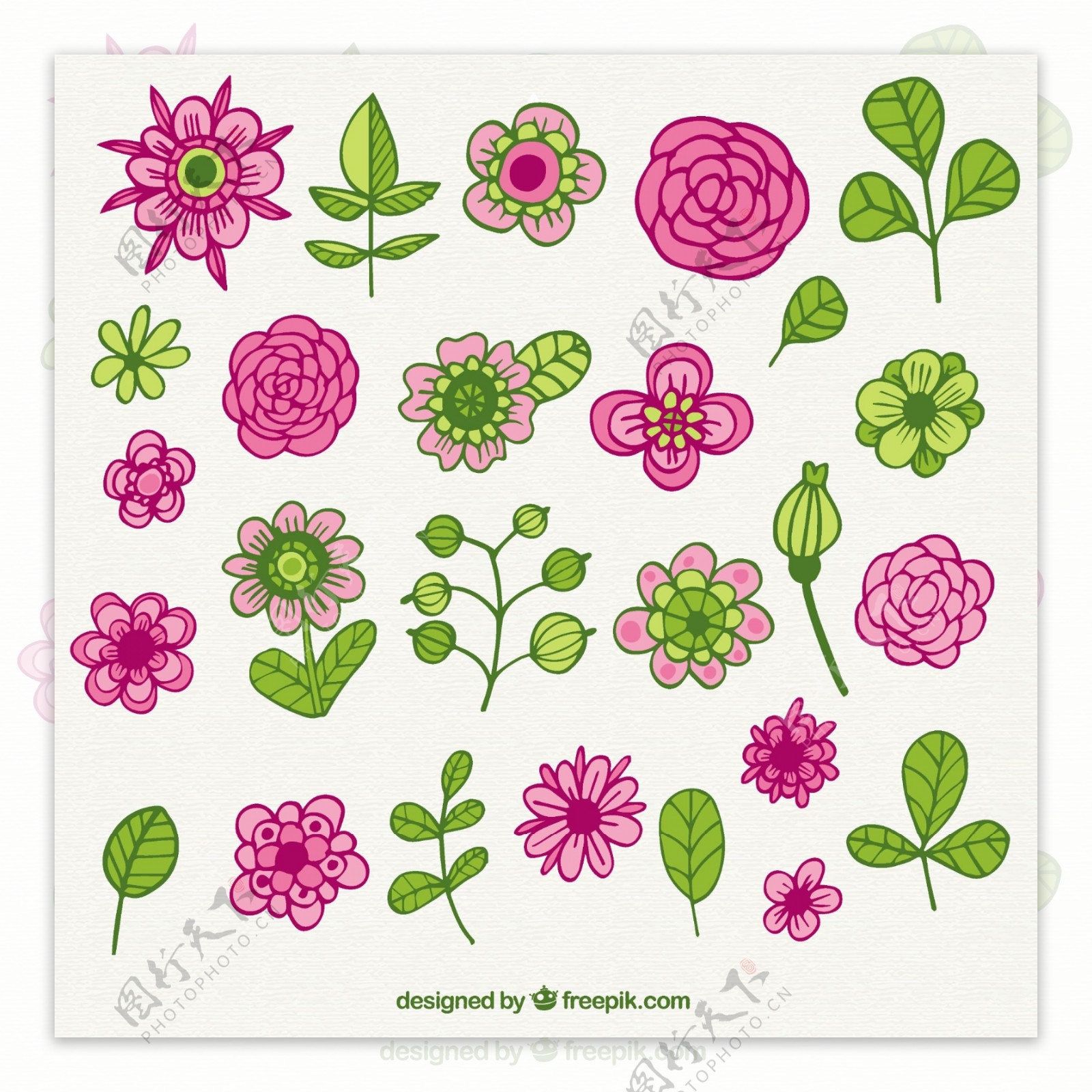 可爱的花在绿色和粉红色的色调收藏