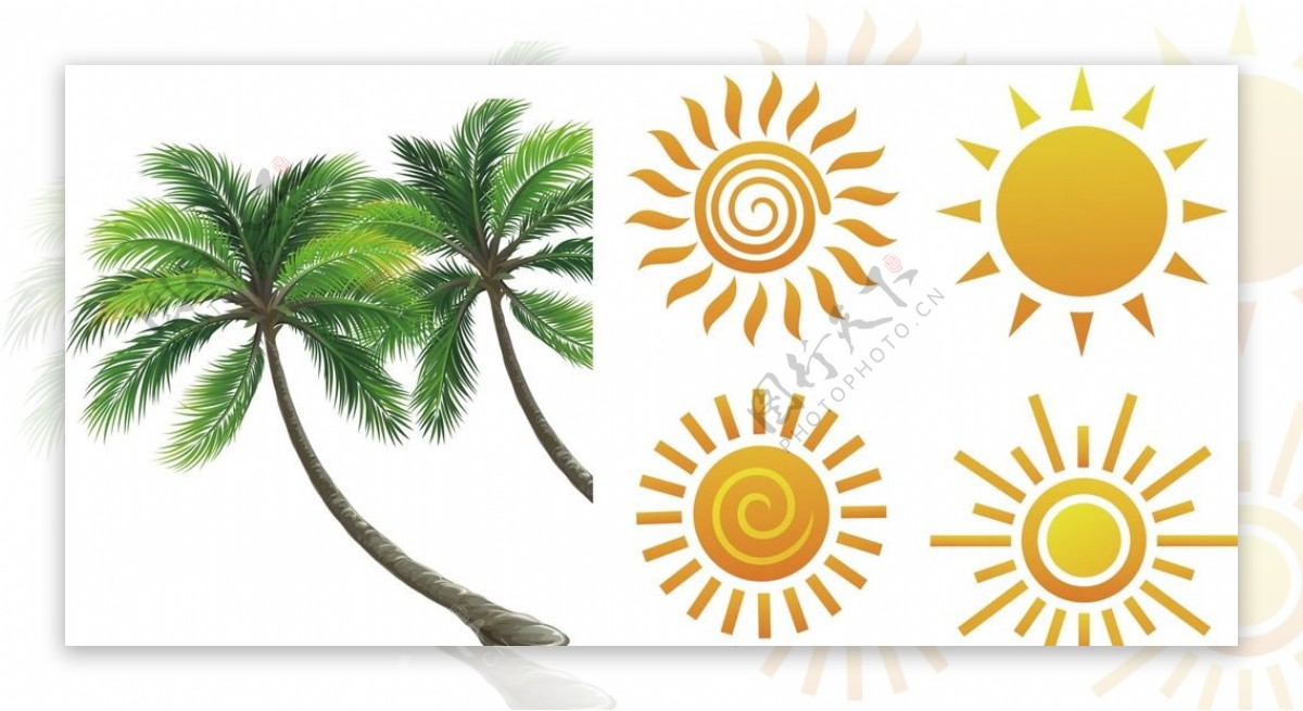 椰子树太阳