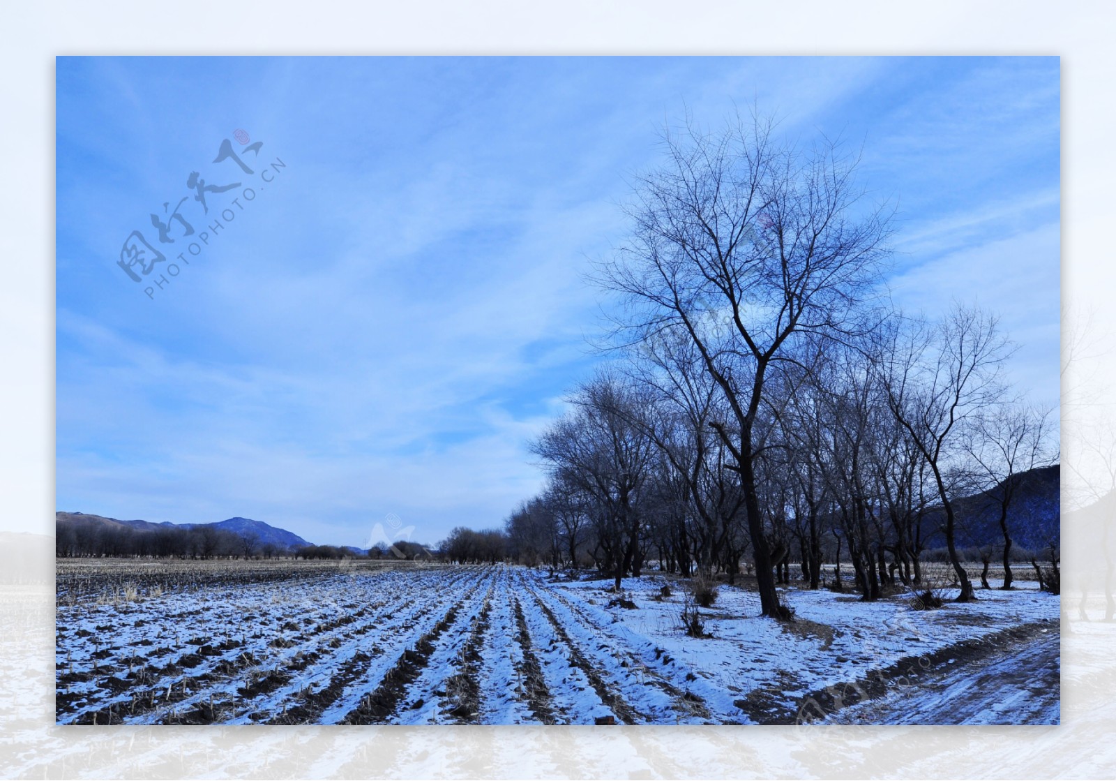 白色冰雪世界风景