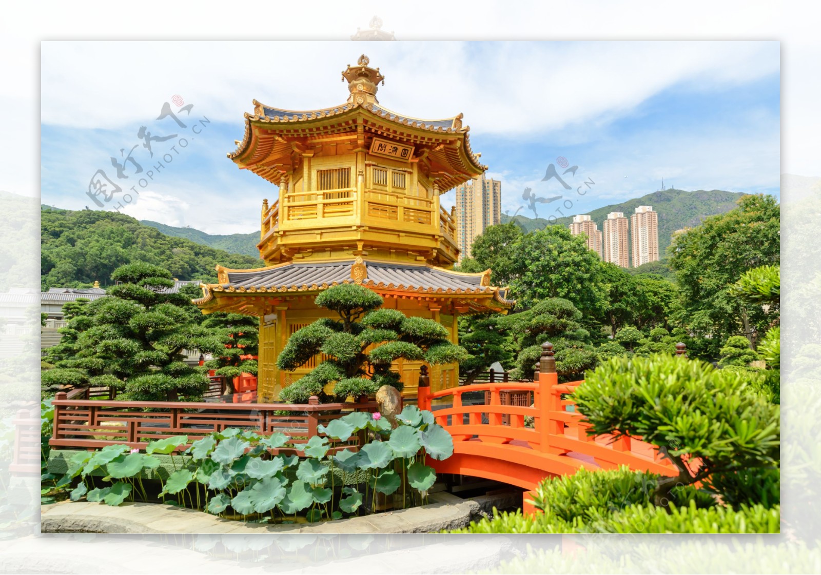 香港南莲园池风景图片