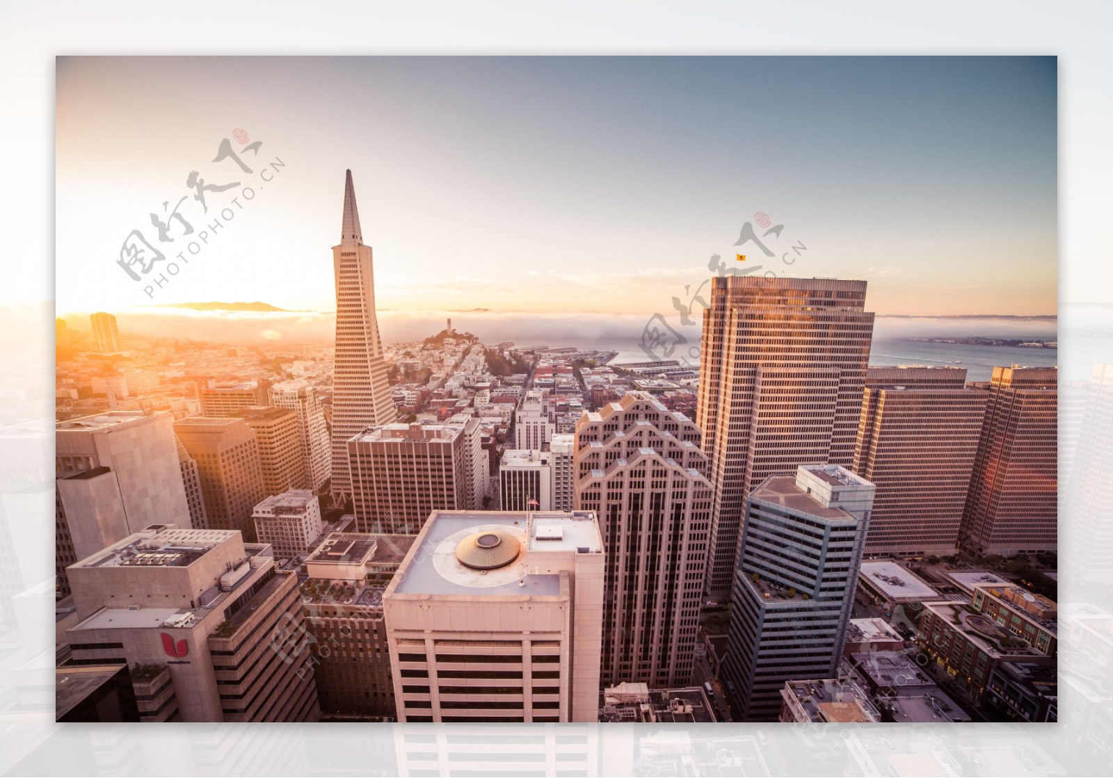 旧金山摩天楼图片
