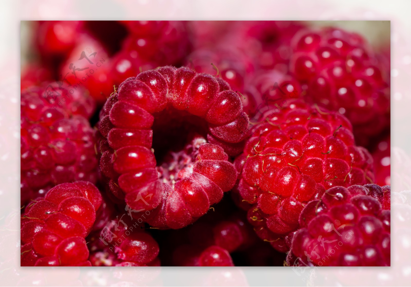新鲜的草莓桑葚水果高清图片