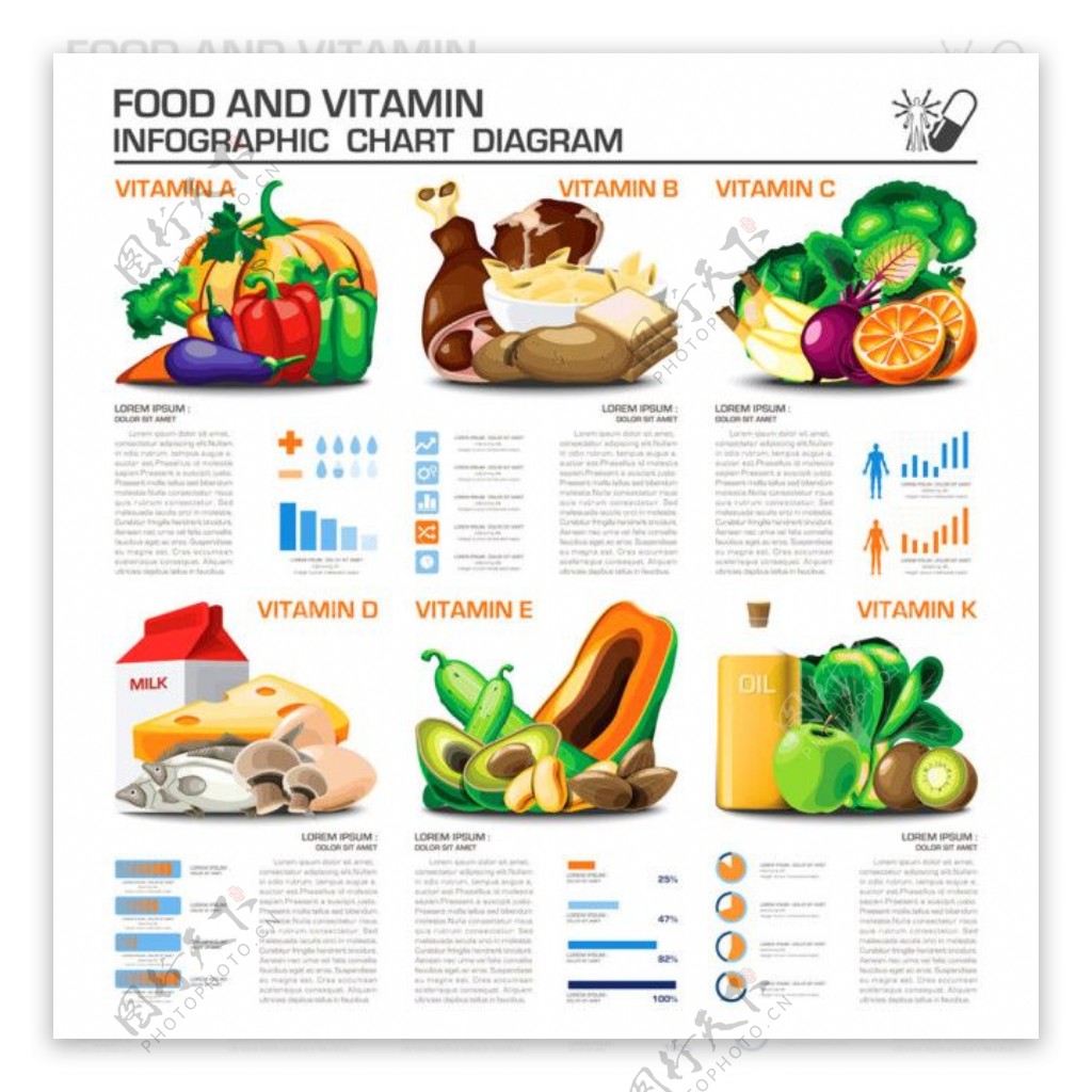 蔬菜水果信息图表图片