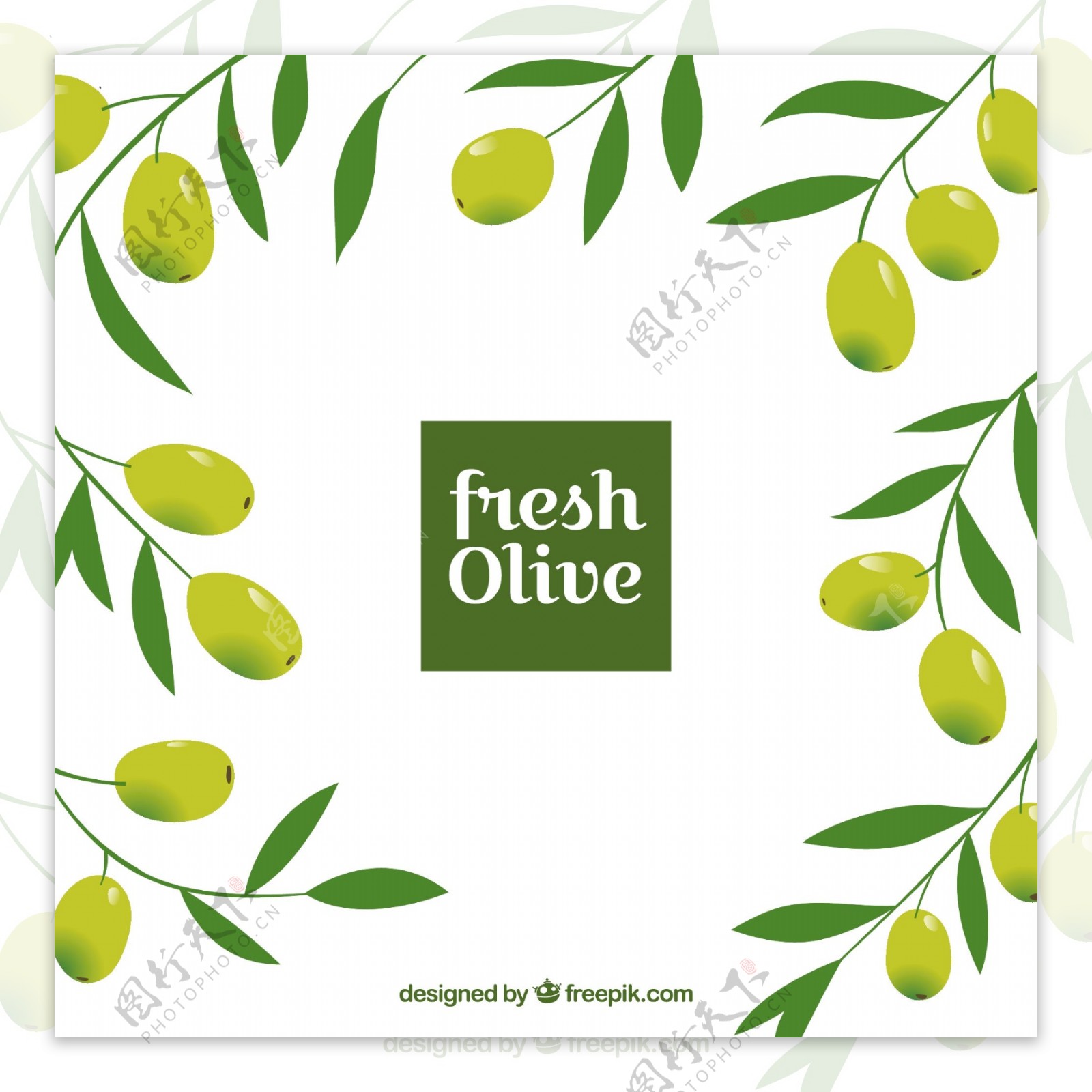 平坦的背景装饰橄榄和树叶
