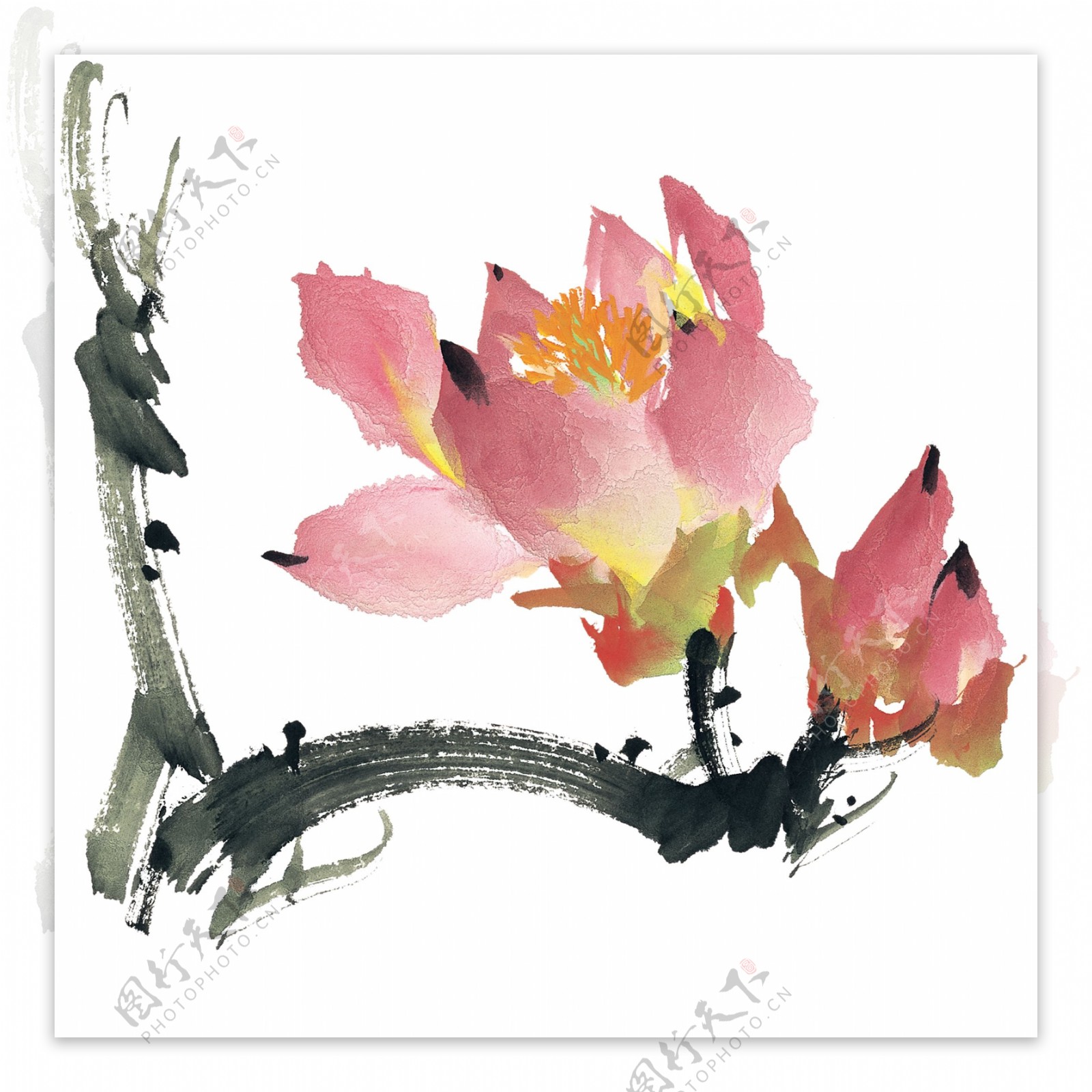 中国画水墨画中国风花朵