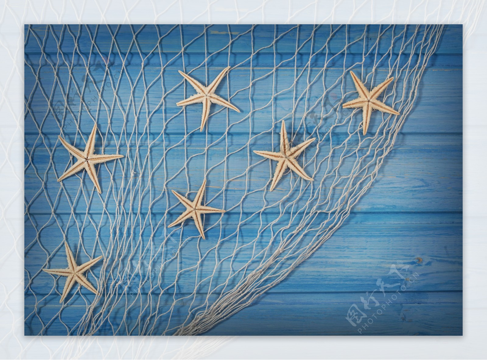 木板上的海星和渔网图片
