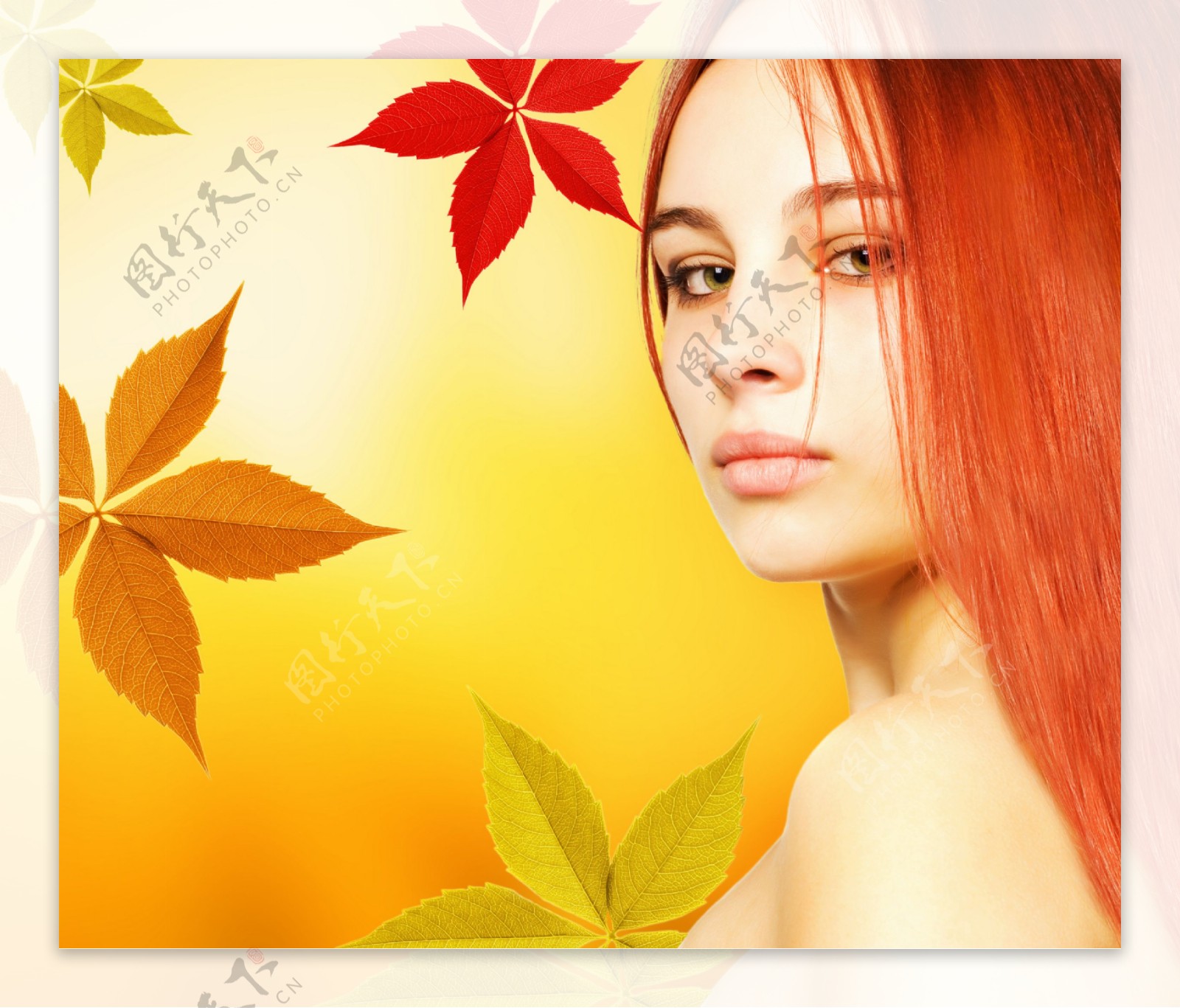 美女与秋天枫叶背景图片