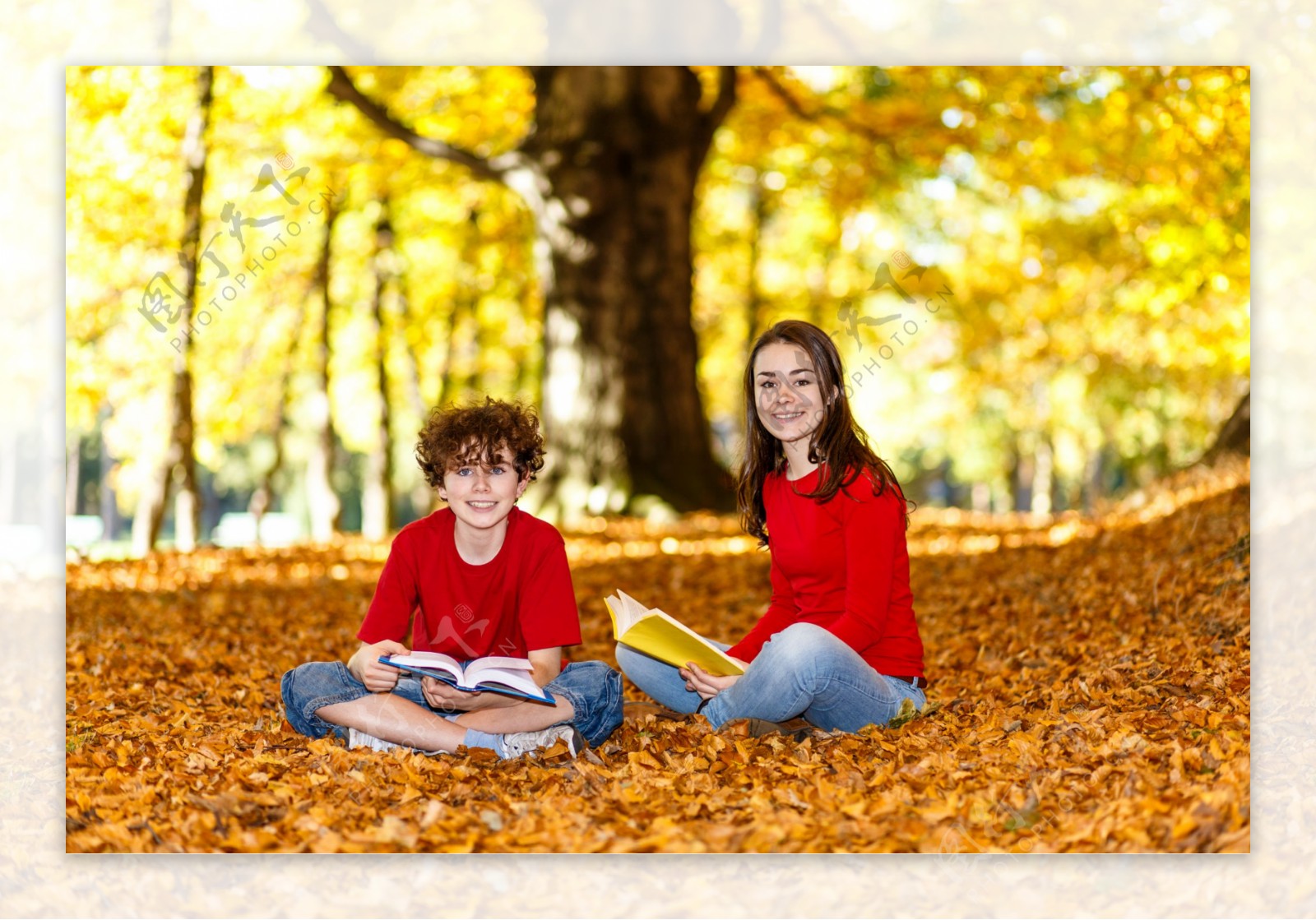 树叶上看书的男生女生图片