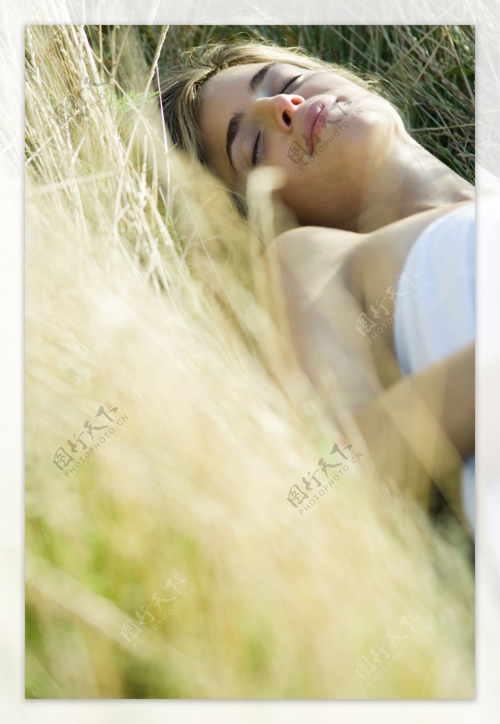 草丛里的美女摄影图片
