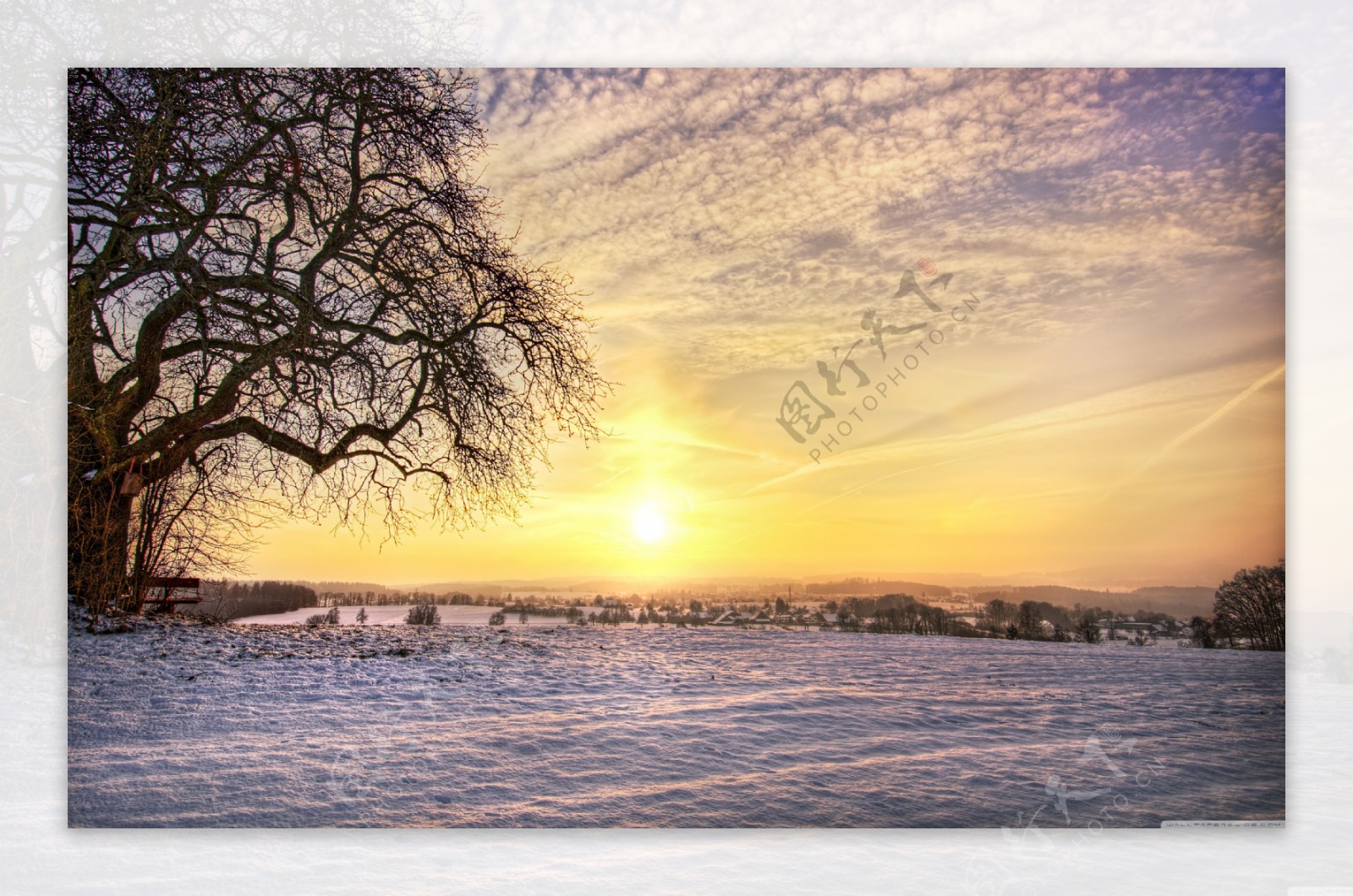 温暖的冬季阳光风景图片