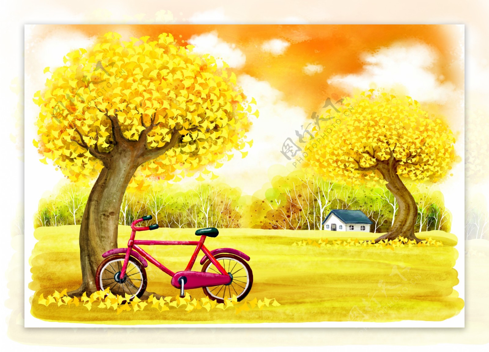 金色树插画图片