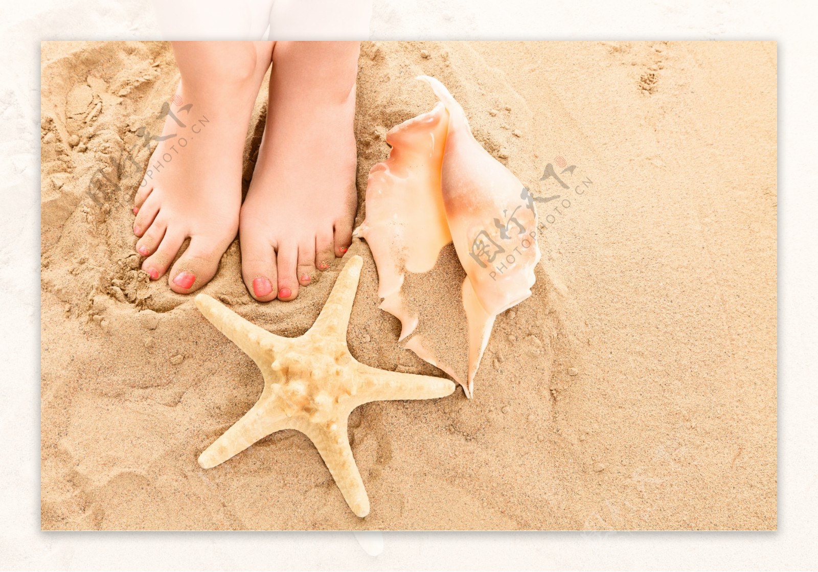 唯美沙滩脚丫与贝壳图片