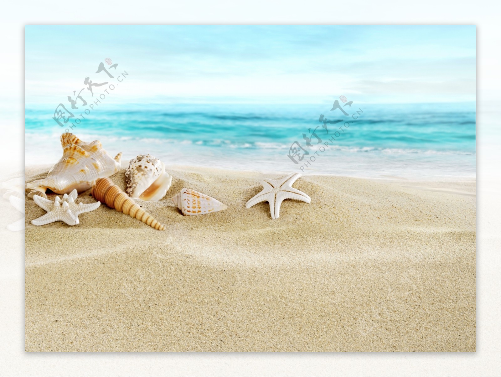 海边风景海水沙滩海星贝壳