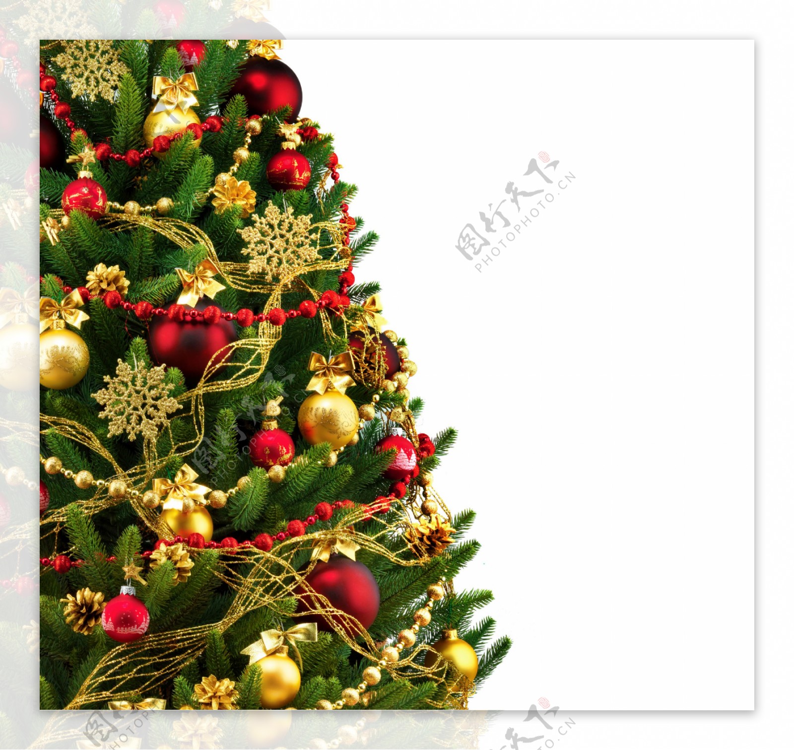 圣诞树背景边框图片