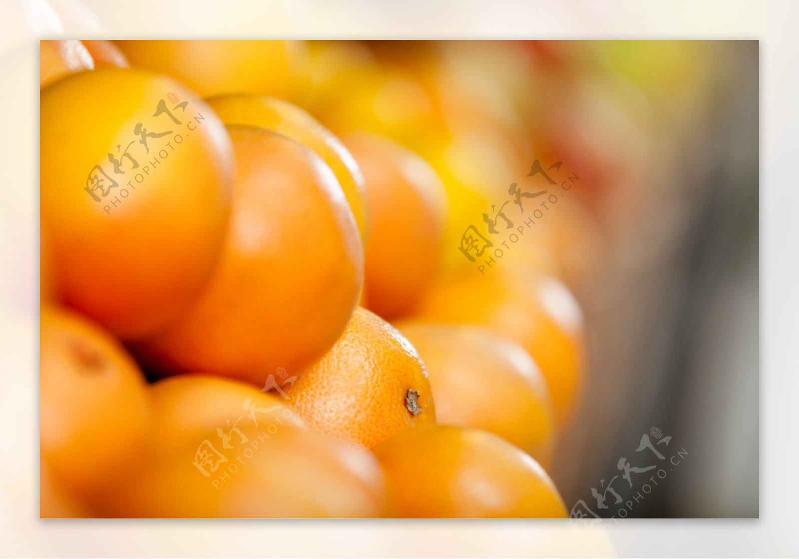 新鲜橙子摄影