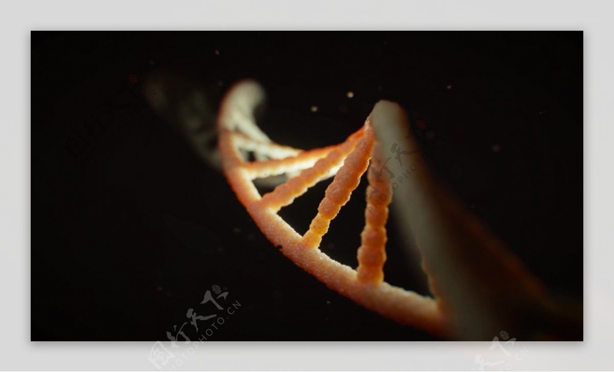 DNA分子链生物视频素材