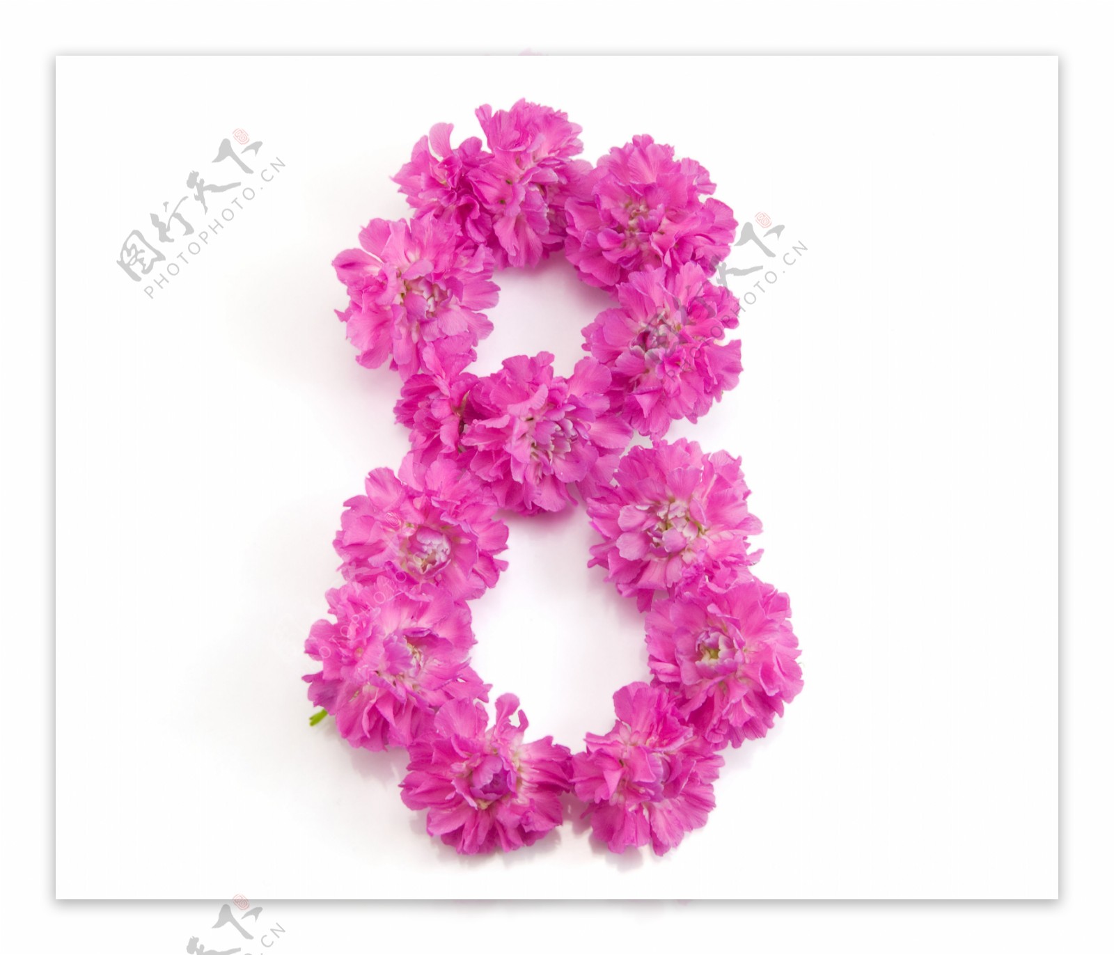 花朵组成的8字形图片