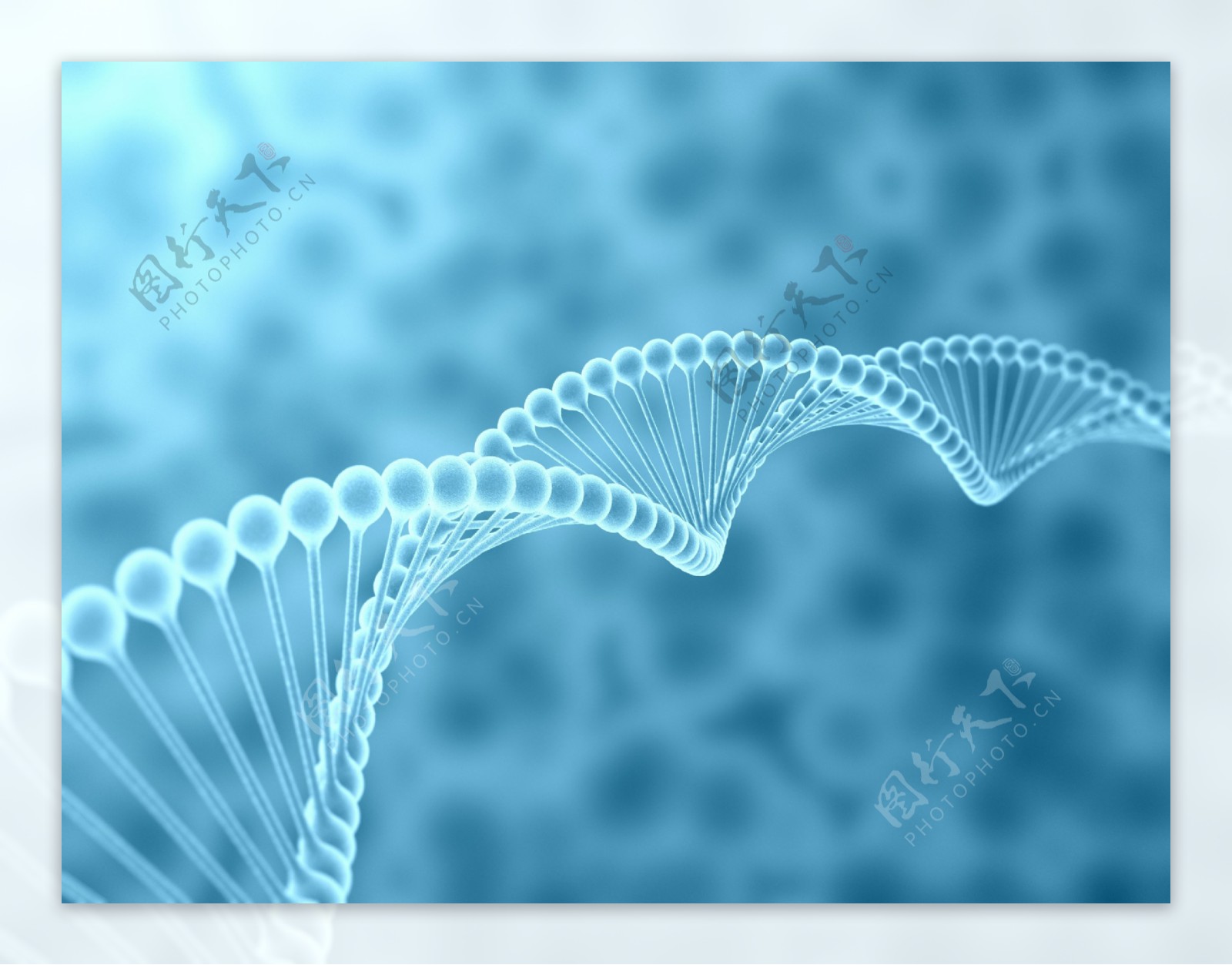 蓝色DNA生物科技