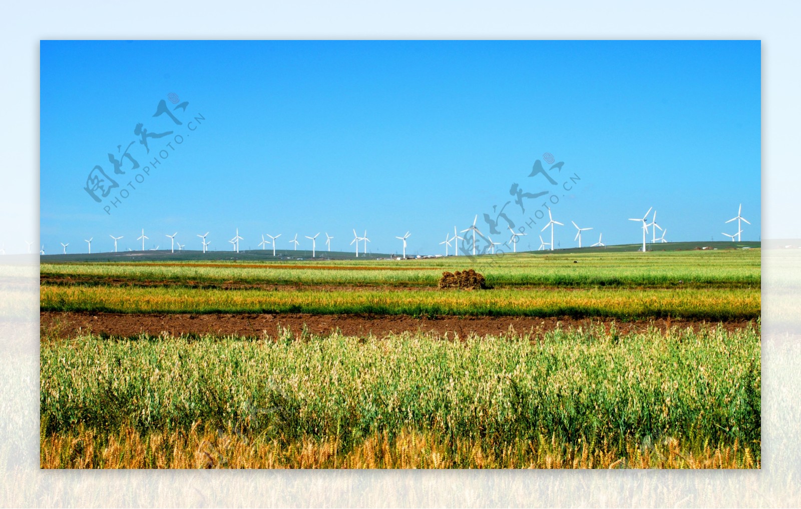 麦地与风力发电美景风图片