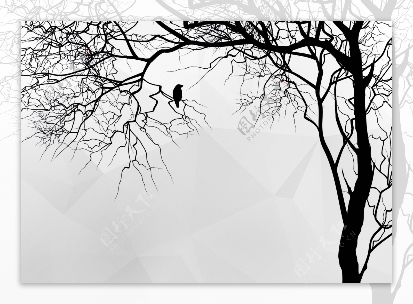现代简约黑白线条发财树小鸟简洁背景墙