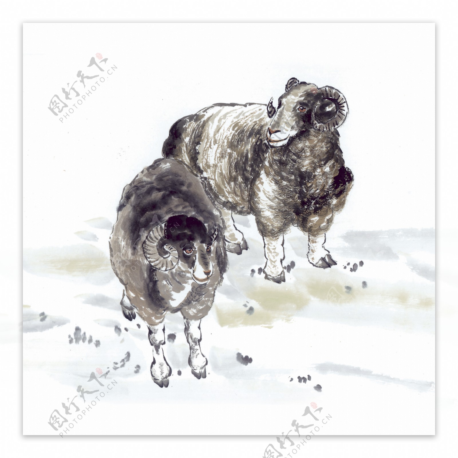 羊写意动物画国画0064
