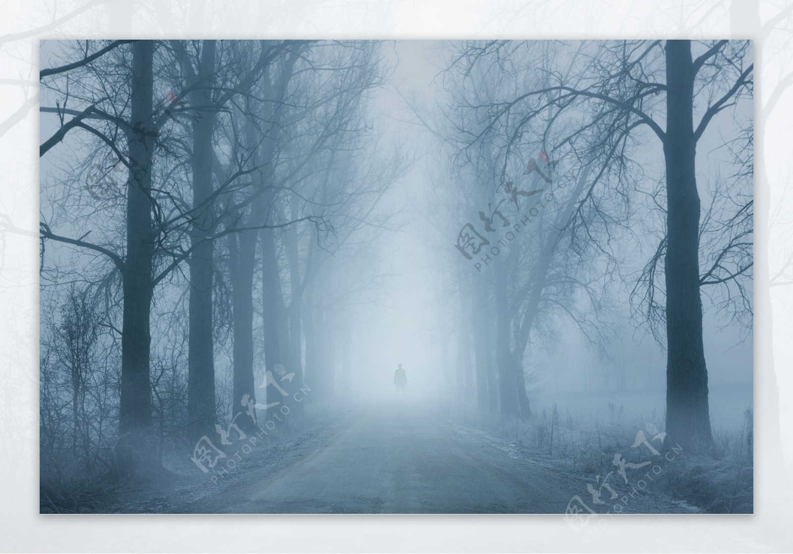 清晨白雾笼罩的公路风景图片
