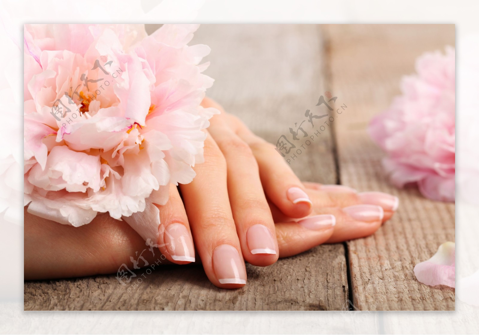 双手和粉色花朵图片