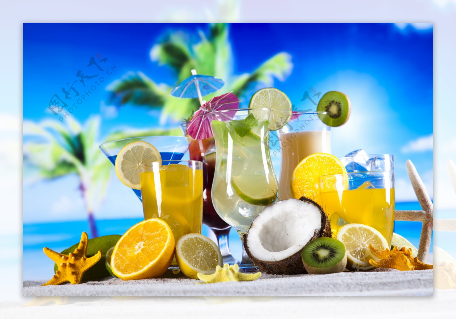 椰子海星鸡尾酒图片