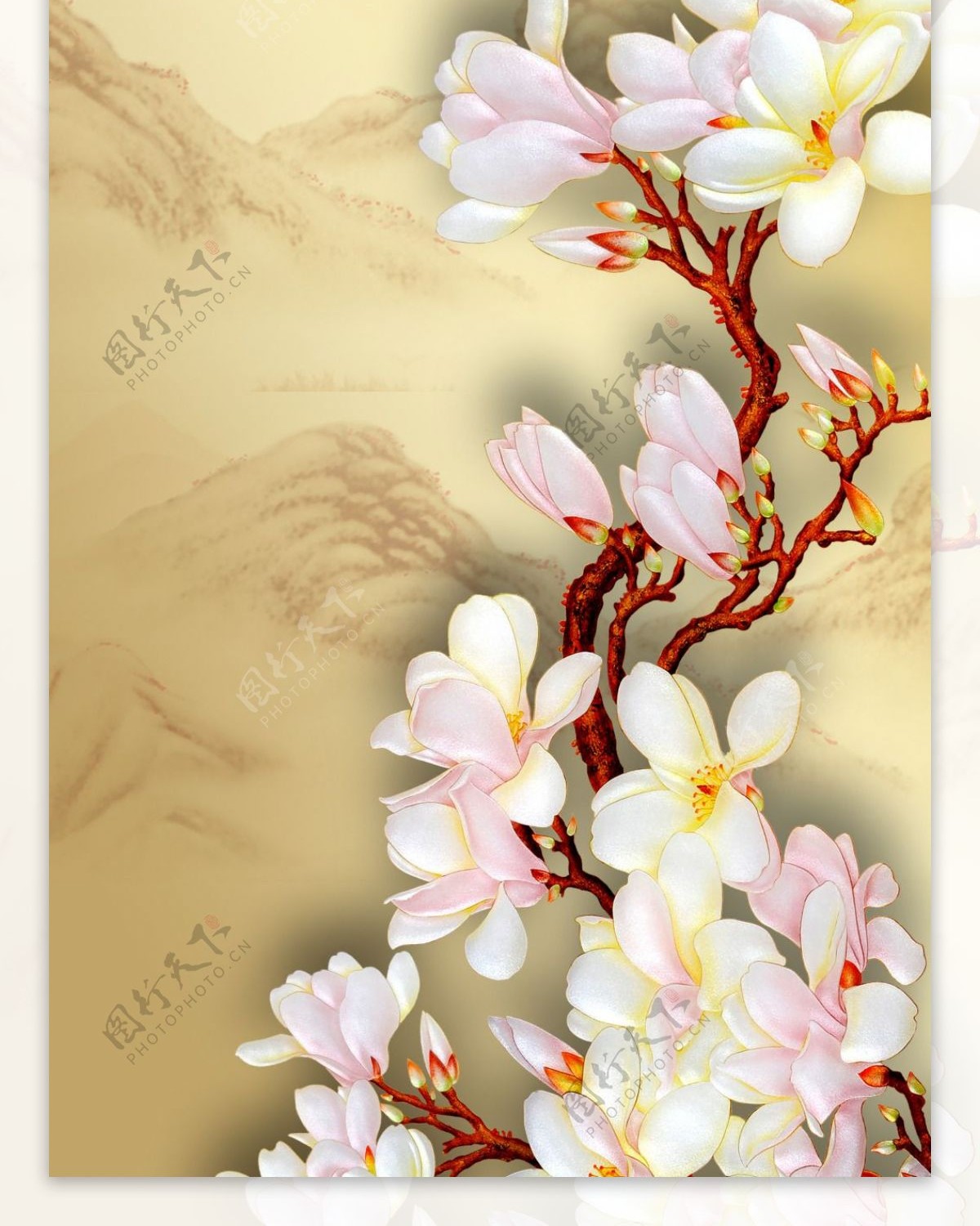 中国风古典花朵展板背景