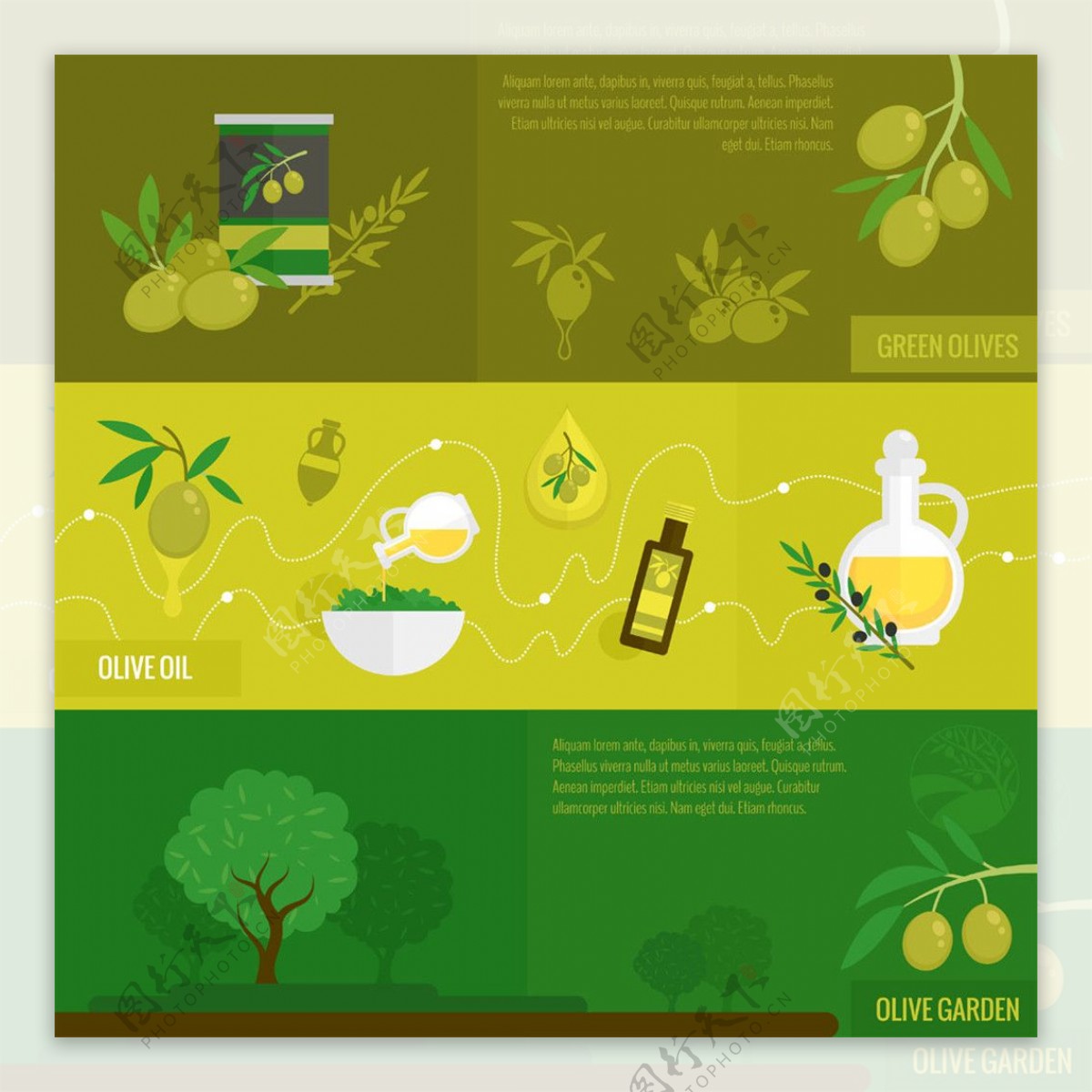橄榄卡片背景图片
