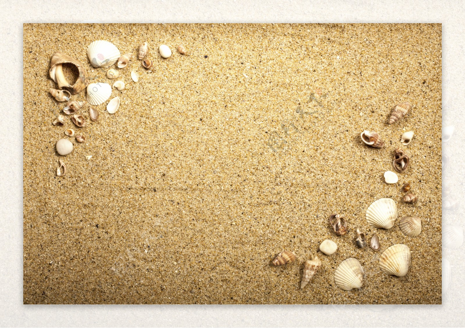 沙子贝壳唯美背景图片