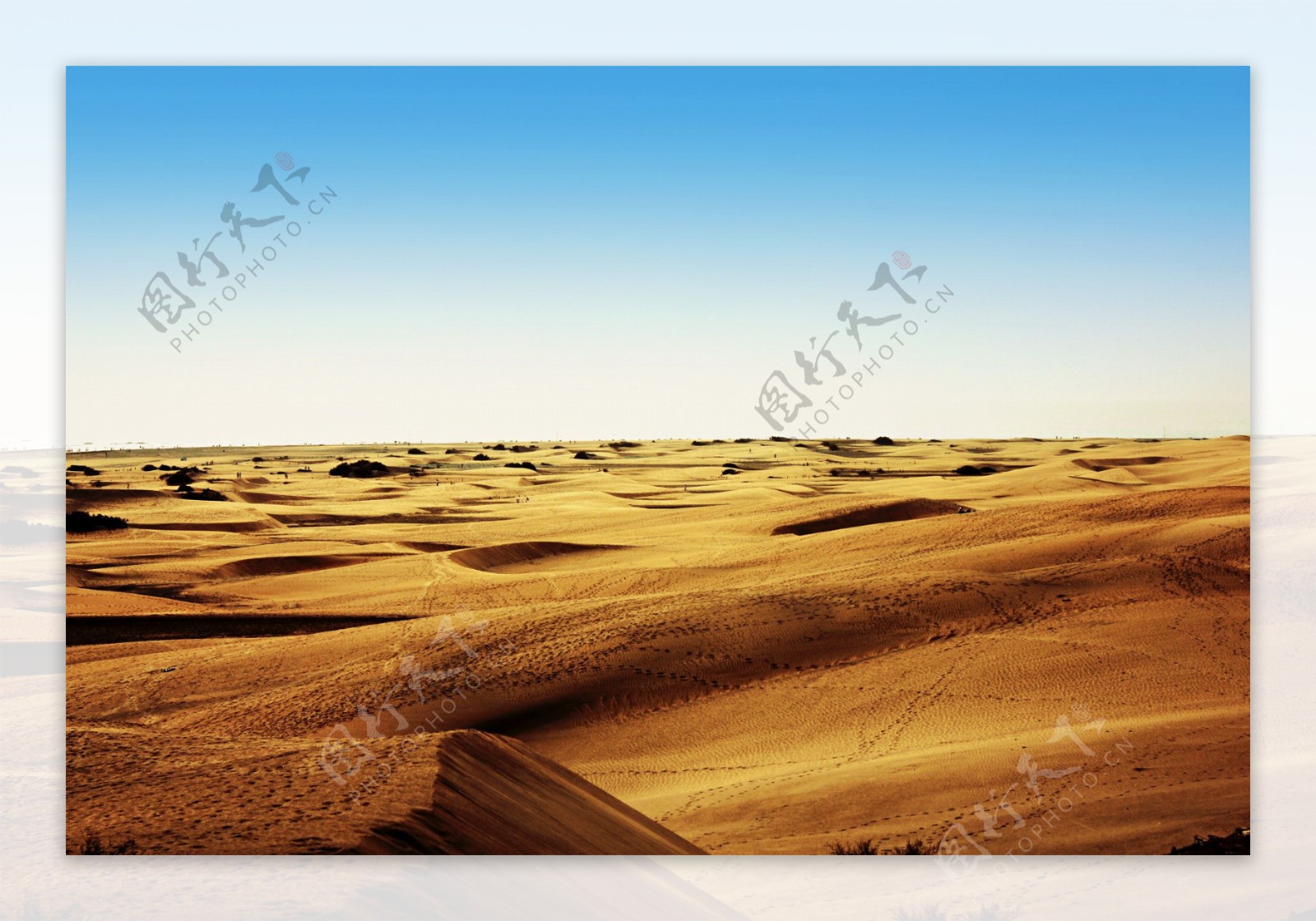 热带沙漠风景图片