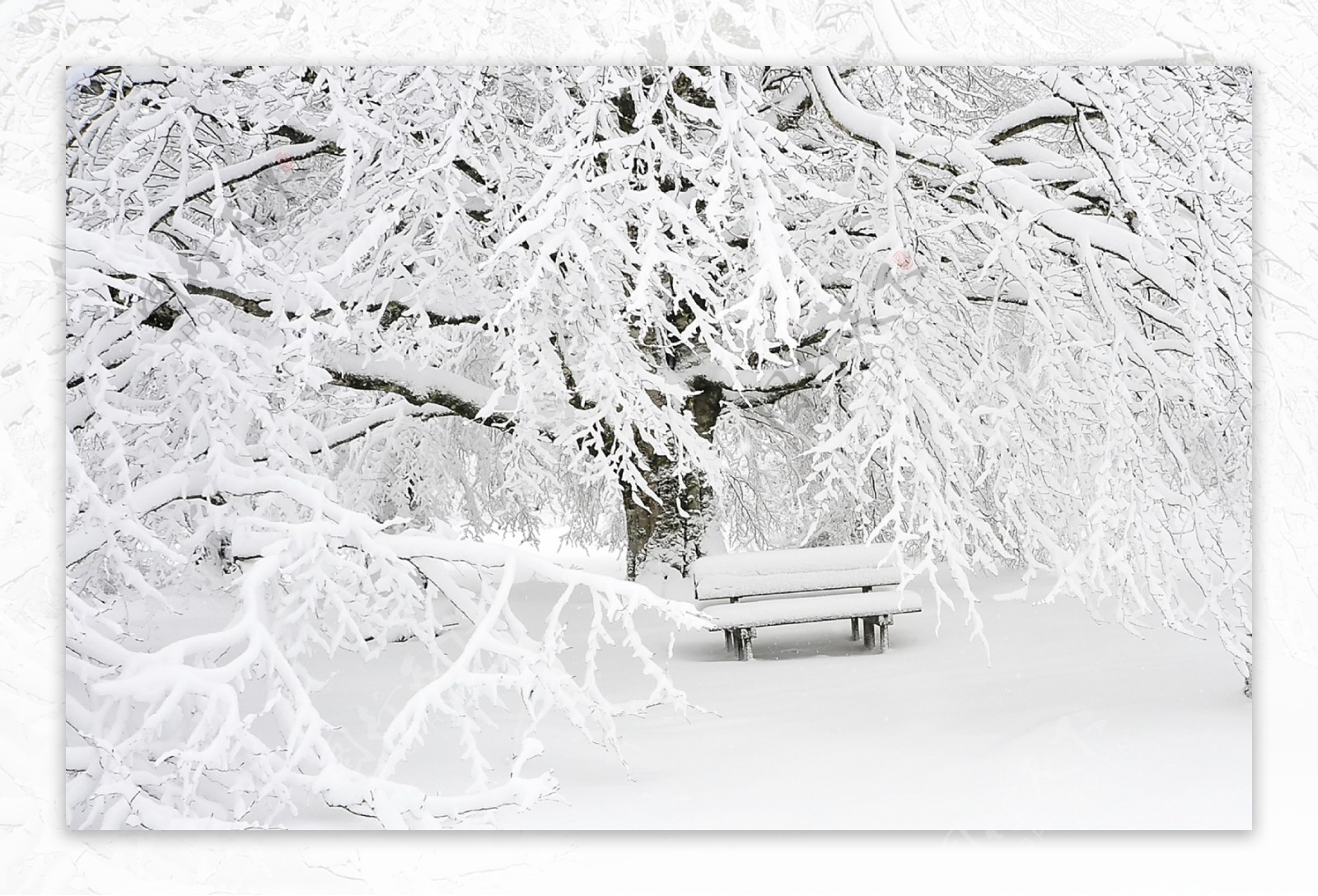 公园冬日雪景图片