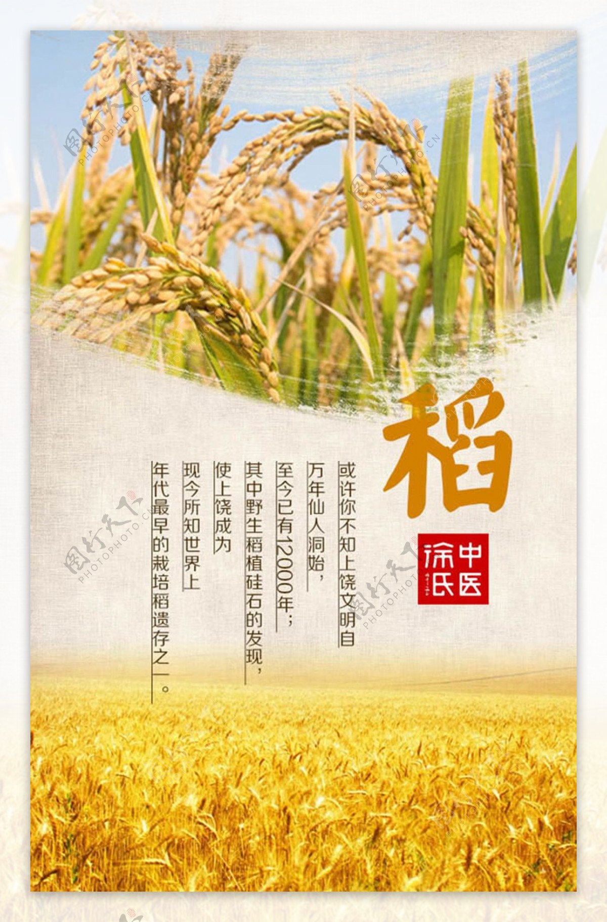 粮食水稻宣传海报设计psd素材