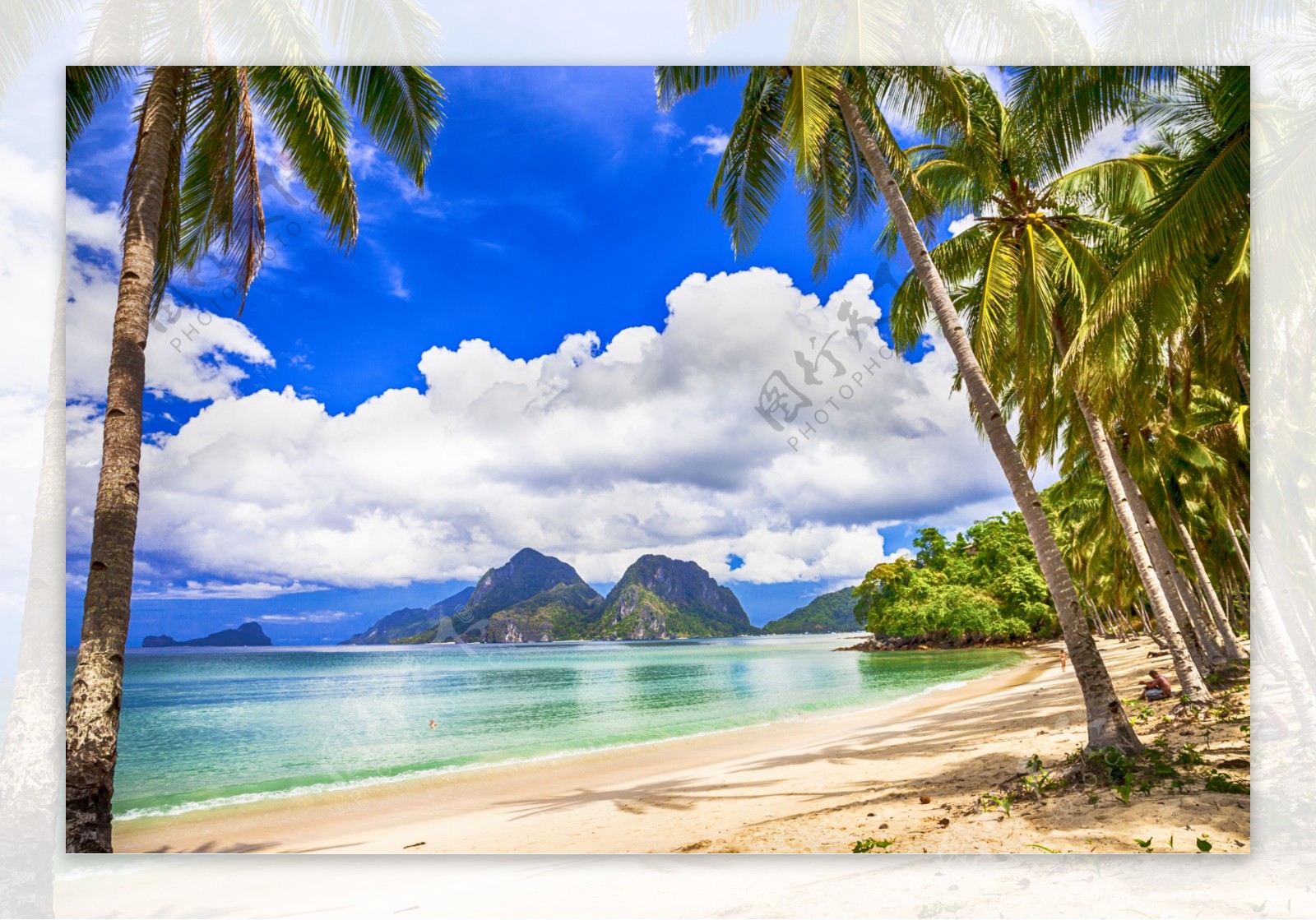 海边椰树风景