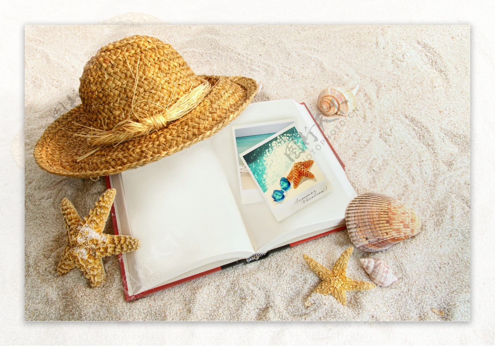 沙滩上的书本和帽子海星