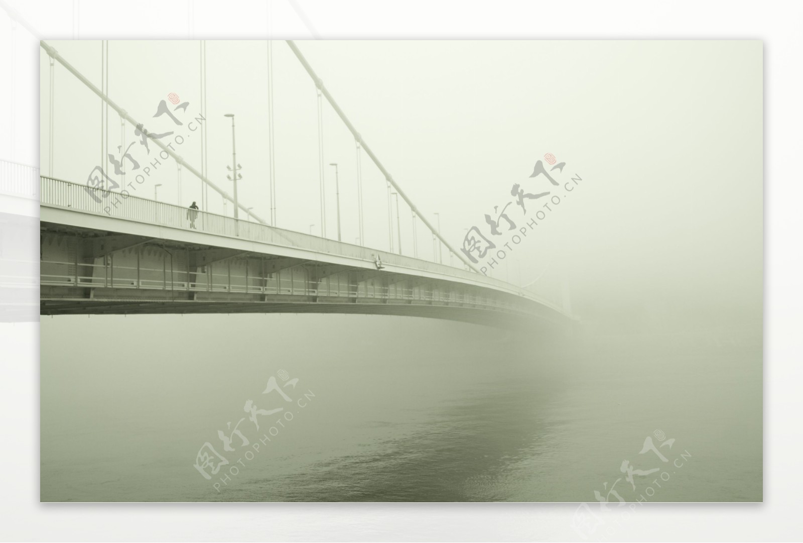 白雾笼罩的桥梁风景
