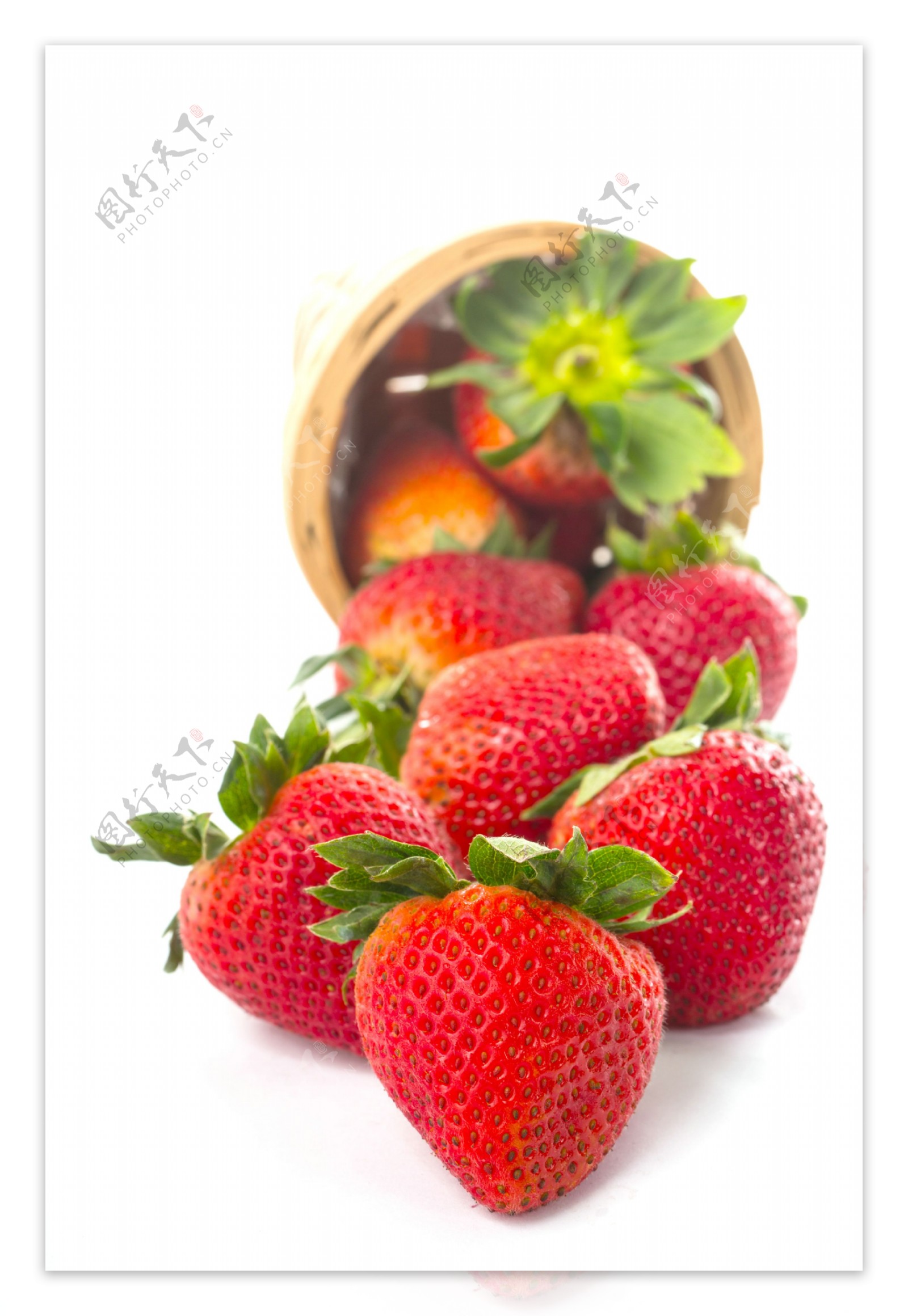 新鲜草莓果实