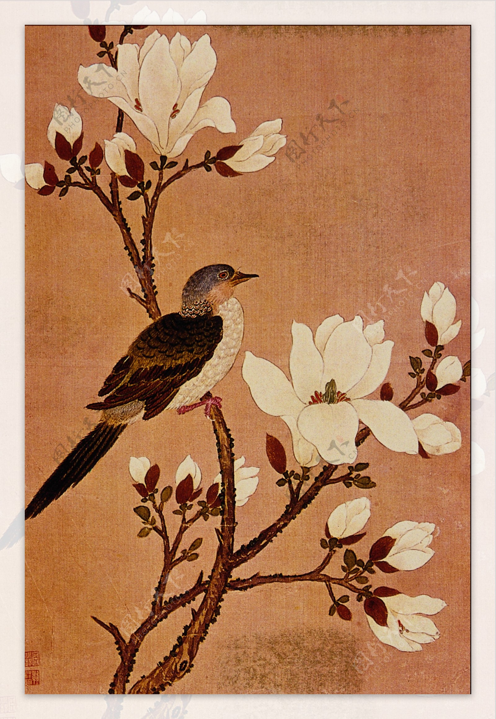 花鸟画中国古画0012
