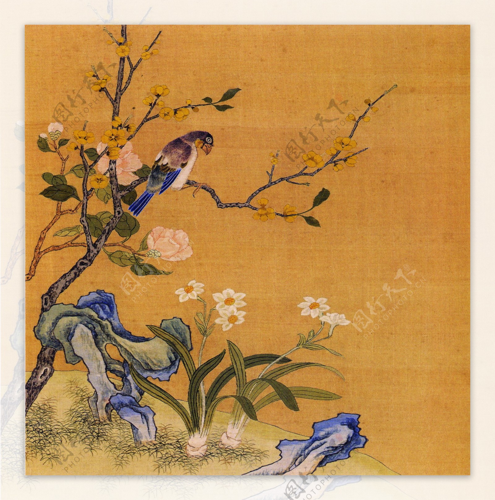 花鸟画中国古画传统国画02