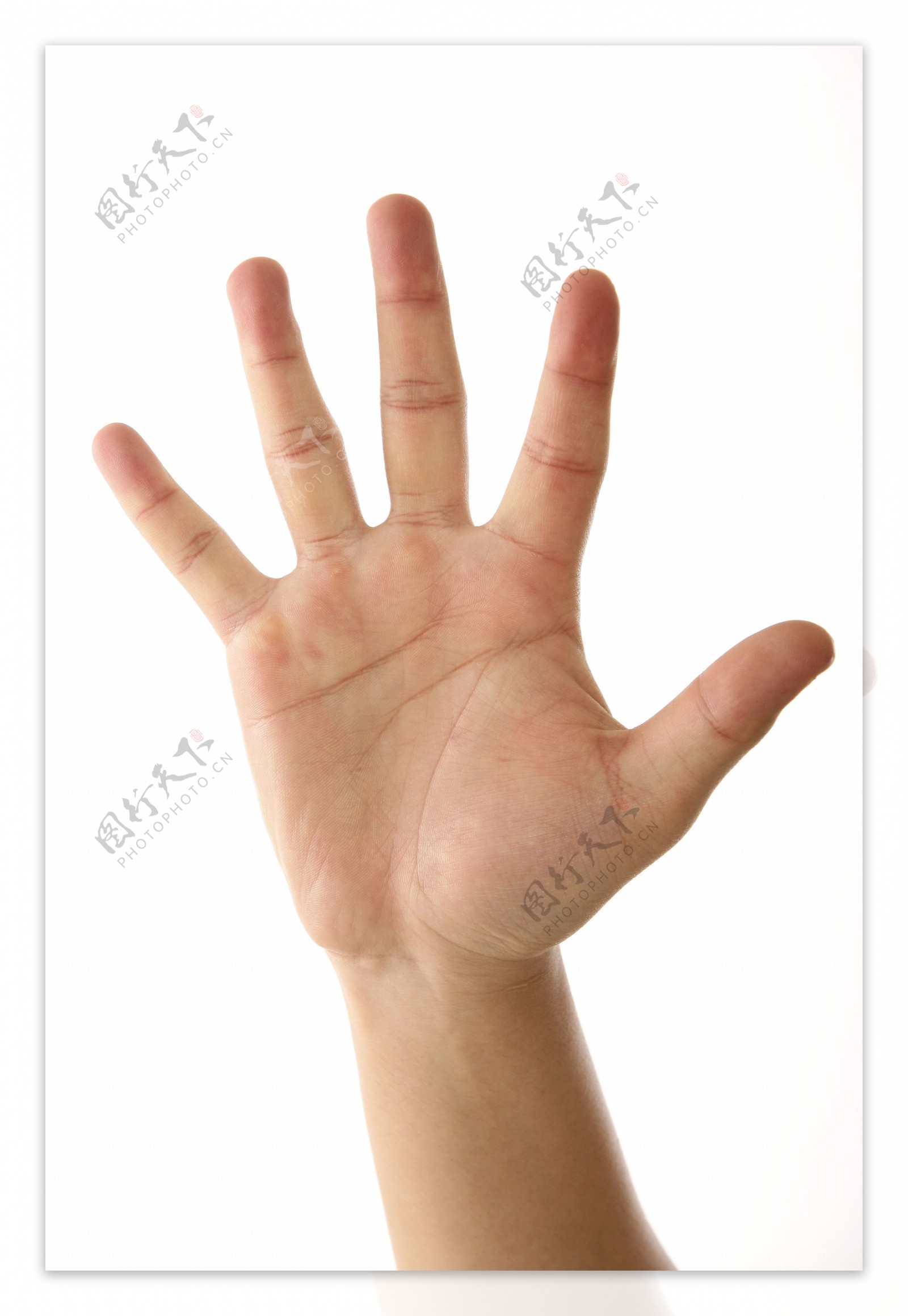 人物手势元素-举手手掌手势特写 - 素材公社 tooopen.com