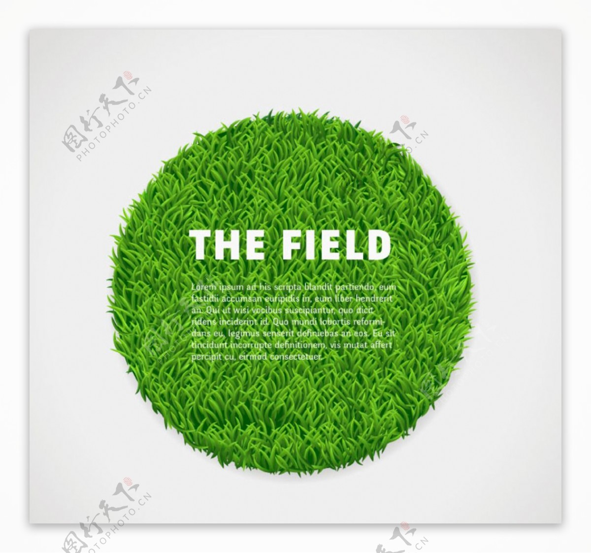 圆形绿色草坪