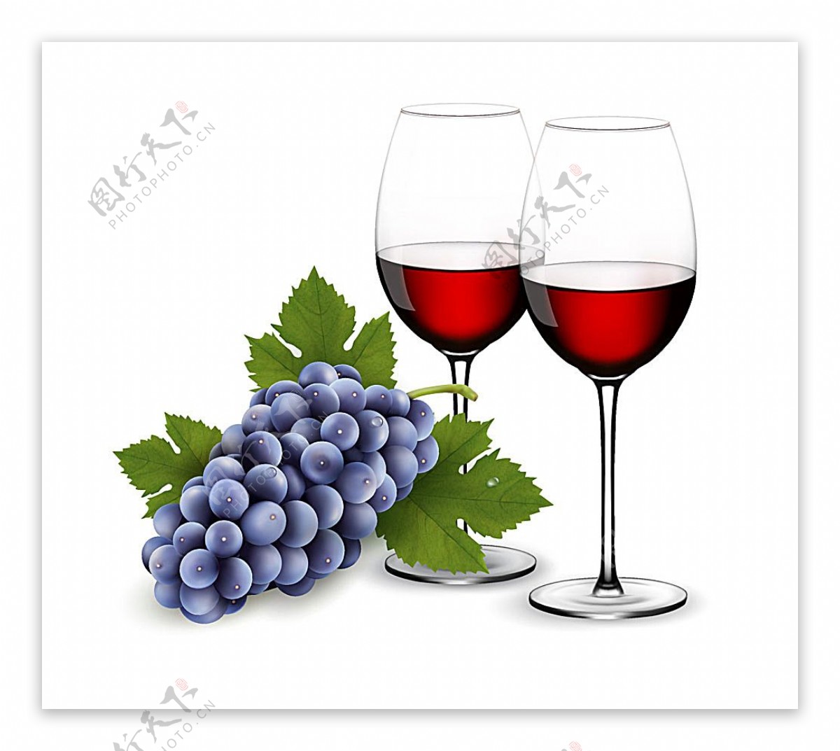 葡萄与红酒插图