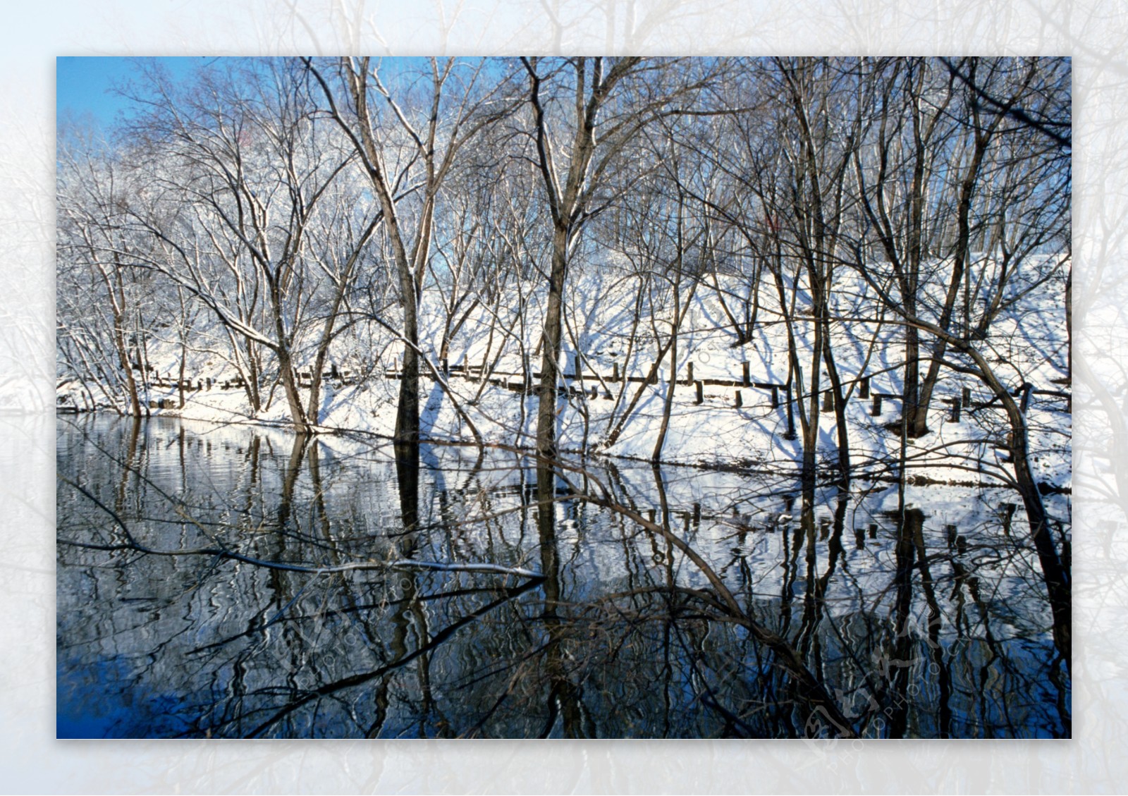 冬天的湖泊美景图片