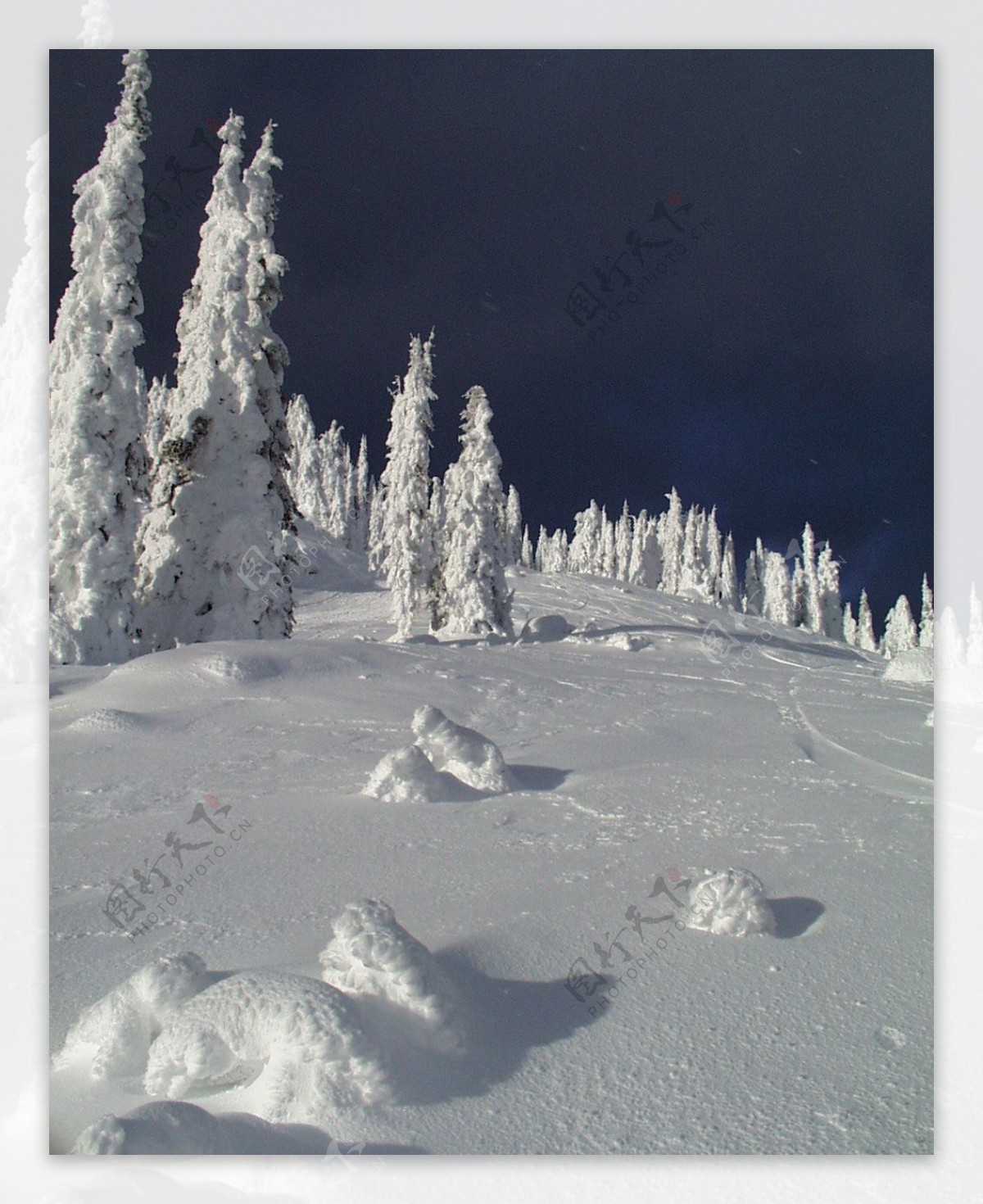 冰雪世界自然风景贴图素材JPG0303
