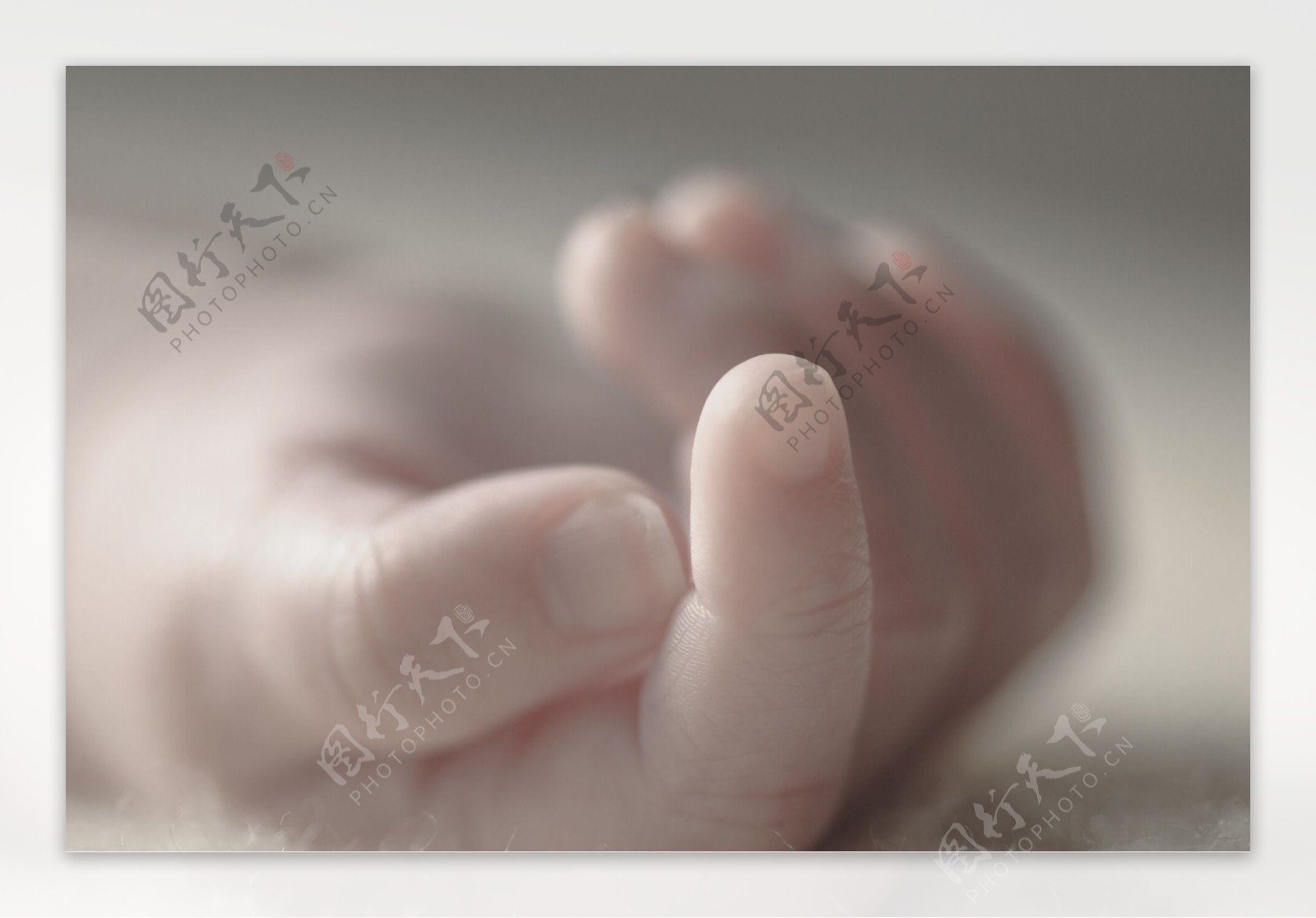 新生儿的小手图片