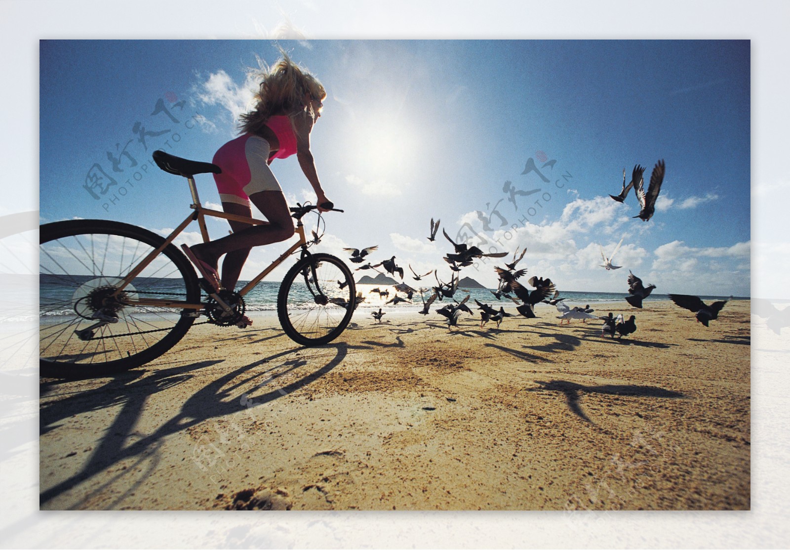 沙滩骑自行车的时尚美女图片