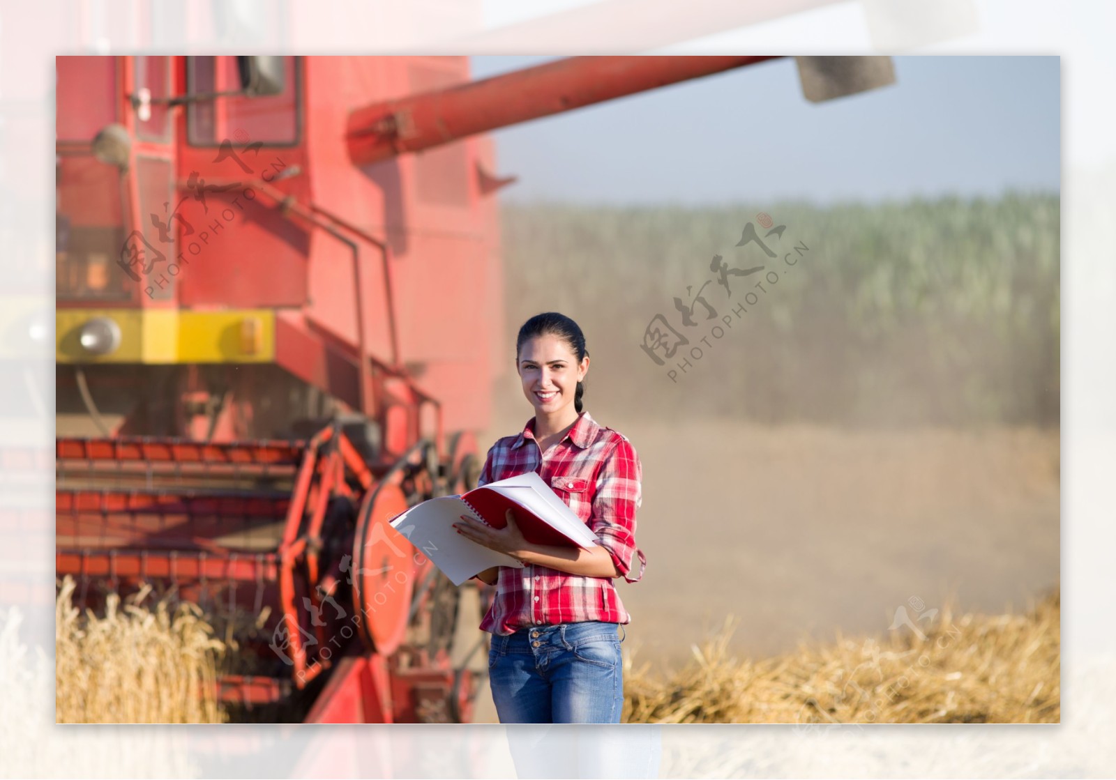 麦田里的农业科学家图片